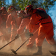 Inmate firefighters from Oak Glen Conservation Camp clear vegetation that could fuel a wildfire near a road under the authority of Cal Fire.